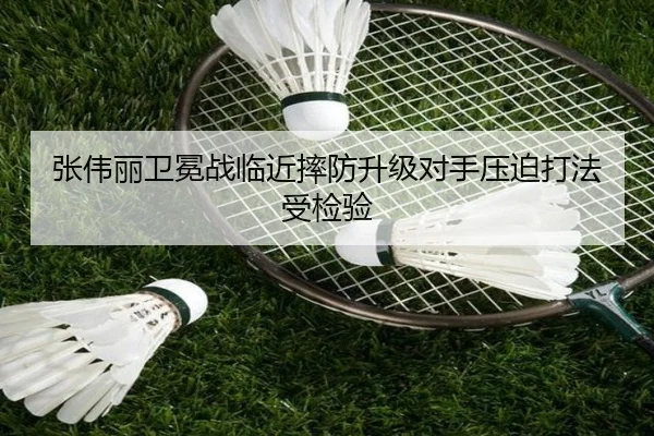 张伟丽卫冕战临近摔防升级对手压迫打法受检验